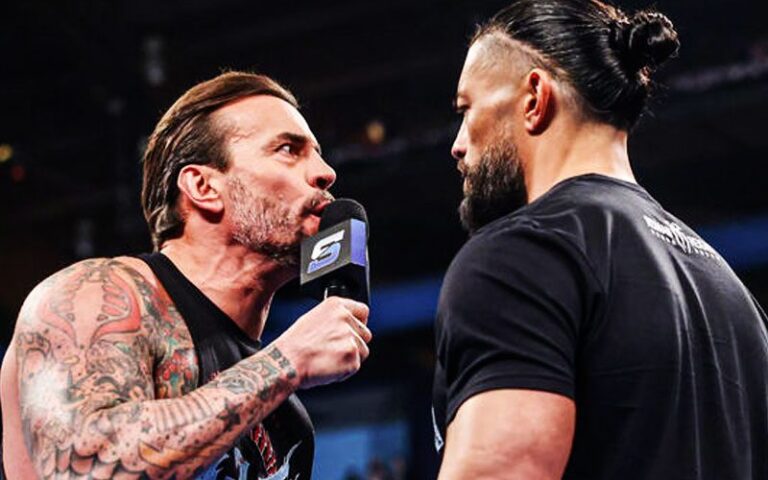 cm-punk-and-roman-reigns-could-team-up-for-major-wwe-match-47.jpg