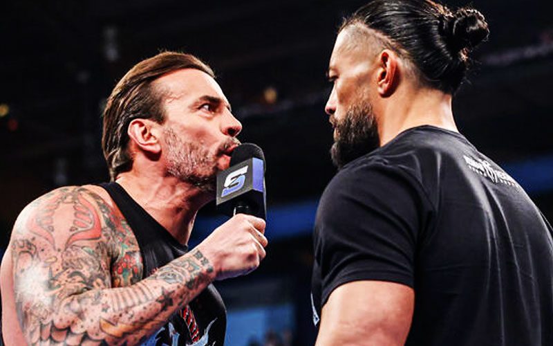 cm-punk-and-roman-reigns-could-team-up-for-major-wwe-match-47.jpg