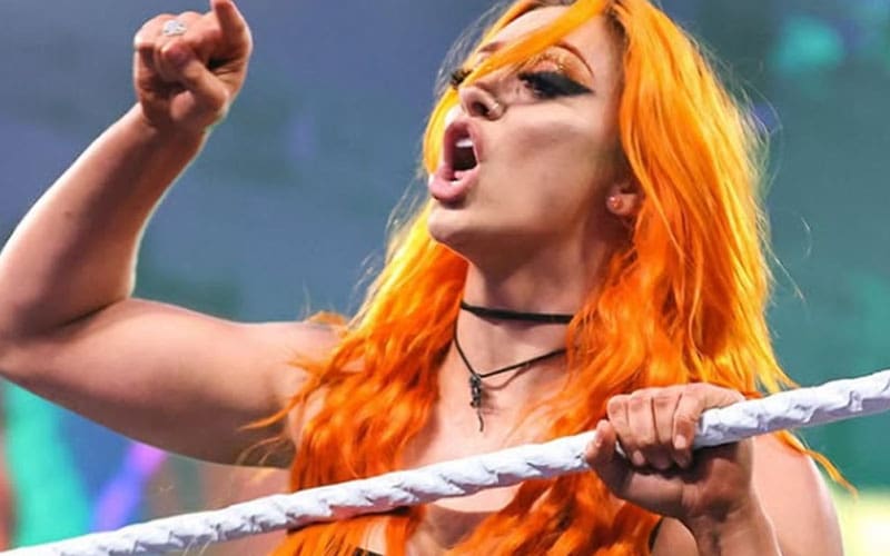 priscilla-kelly-calls-out-fans-who-reduce-her-to-just-her-body-11.jpg