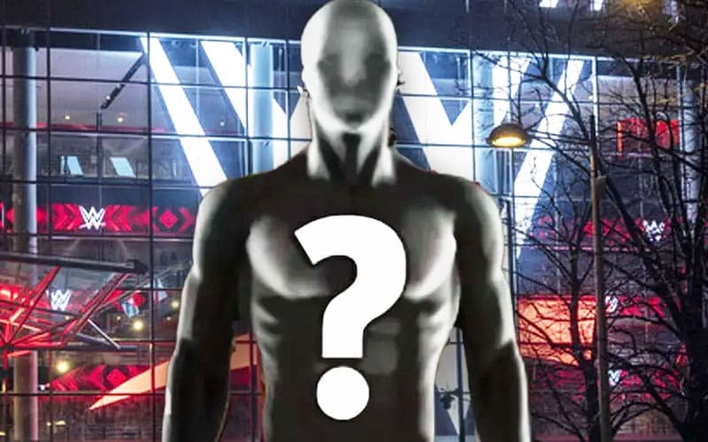 ex-wwe-star-reveals-they-almost-died-during-infamous-match-28.jpg